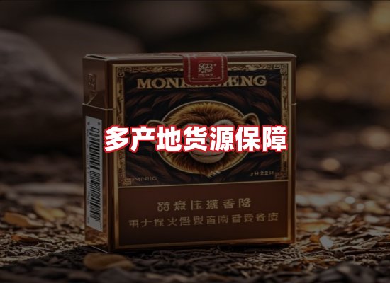 专业团队
